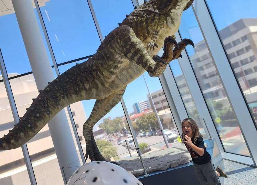 Child learning at dinosaur museum