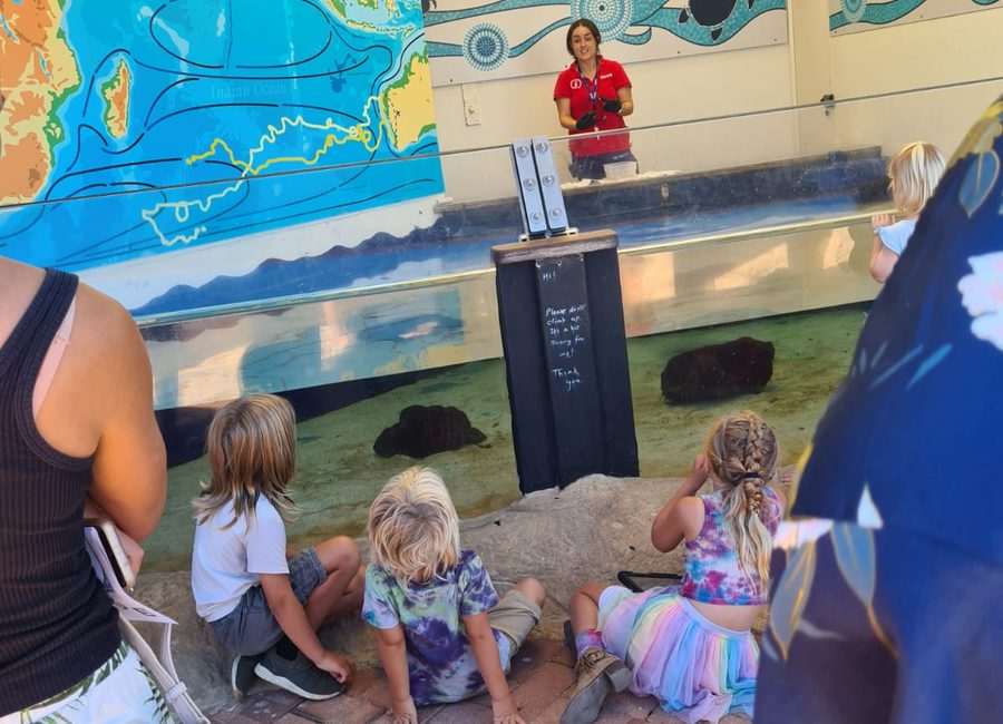 Children learning at a turtle rescue centre